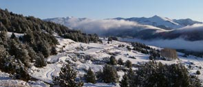 pano